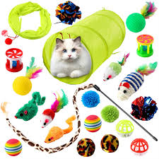 Cat Toys